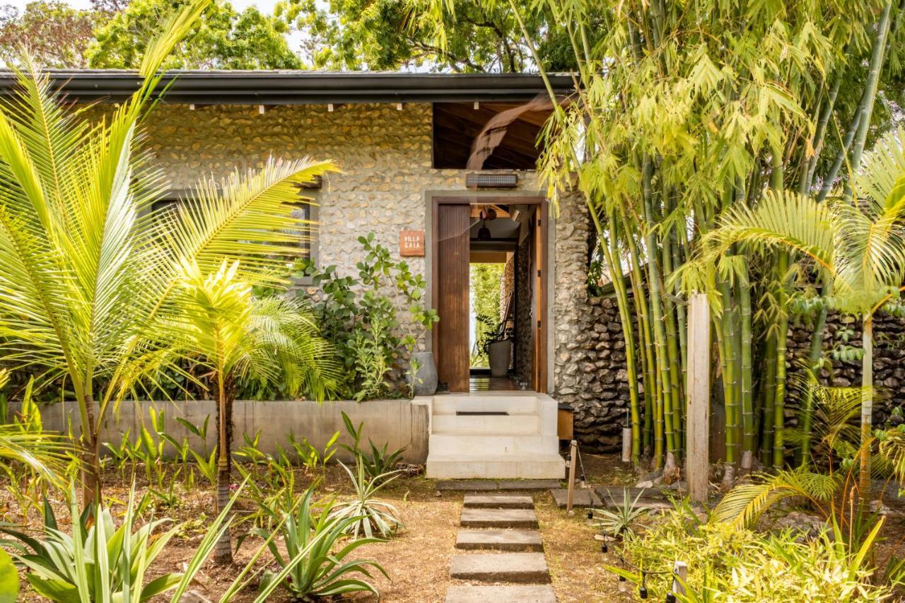 Thea Resort & Retreats - Santa Teresa Playa Santa Teresa  Exteriér fotografie
