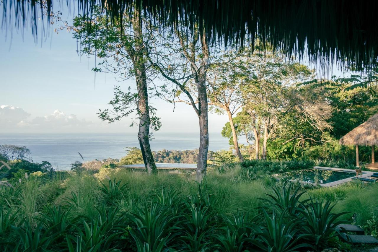Thea Resort & Retreats - Santa Teresa Playa Santa Teresa  Exteriér fotografie