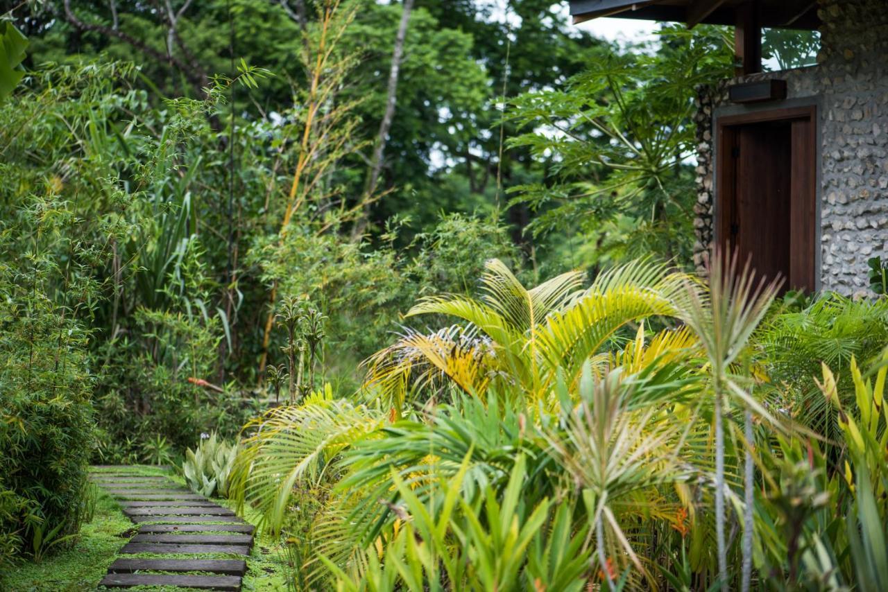 Thea Resort & Retreats - Santa Teresa Playa Santa Teresa  Exteriér fotografie