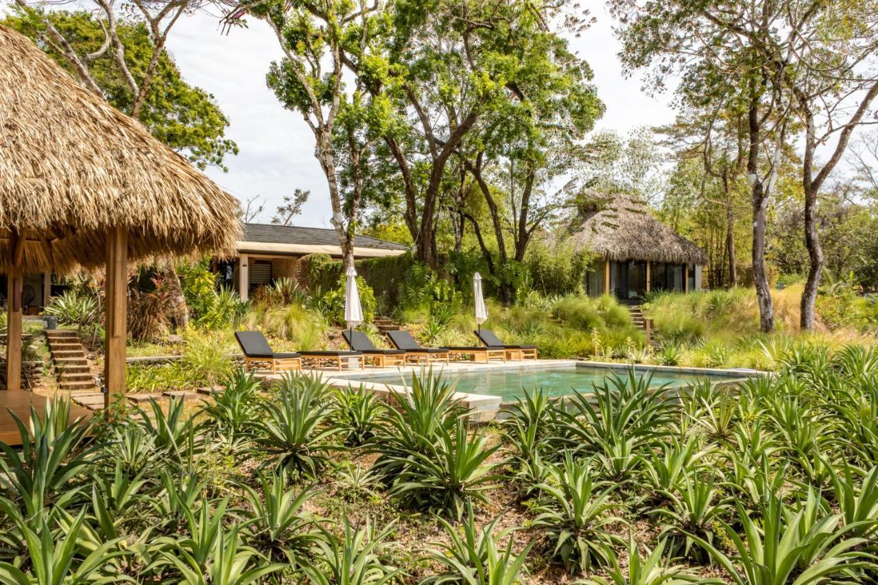 Thea Resort & Retreats - Santa Teresa Playa Santa Teresa  Exteriér fotografie